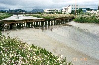 fnc_novato_uppertidal_2002_sm.jpg 86K