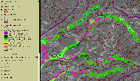 riparian_soap_xings_ortho.gif 282K