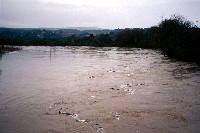 08_garciaflooding_02.jpg 131K