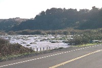 01_hathawaycreek_flooding_01.jpg 129K