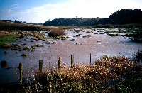 04_hathawayck_floodplain_01_sm.jpg 25K