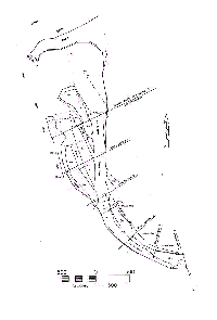 garcia_estuary_xs_locations.gif 49K