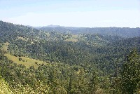 2_panorama_of_upper_billings_creeks_from_gps_25_sm.jpg 16K