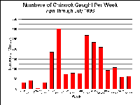 wcchdownmigbyweek1996.gif 19K