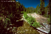 grider_creek_bridge_2001.jpg 125K