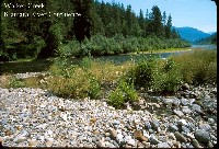 walker_creek_klamath_confl.jpg 140K