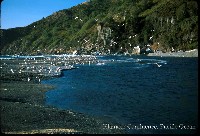 klamath_confluence_pacific.jpg 101K