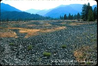 scott_valley_kidderck_br.jpg 135K