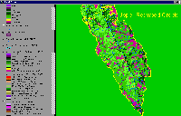 map_ur_usfsvegsize.gif 51K