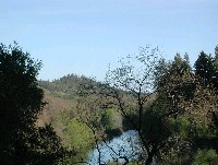 low_russ_riparian_3_2002.jpg 153K