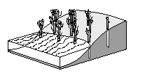 Dormant post plantings diagram