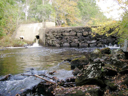 Coopers Mills Dam. Click to enlarge [209 Kb]. Photo by Eli Asarian.